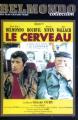 Le cerveau